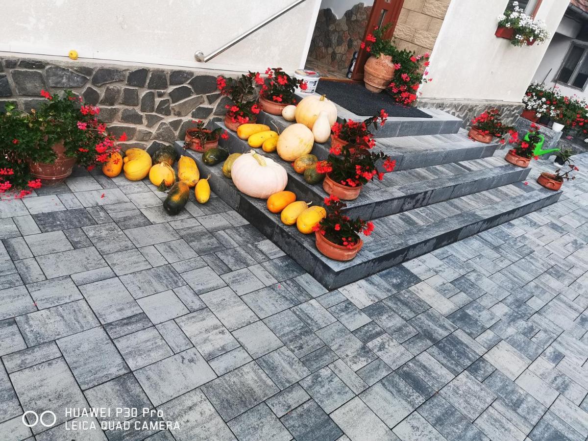 Hotel Sepsi Relax Sfântu-Gheorghe Exterior foto